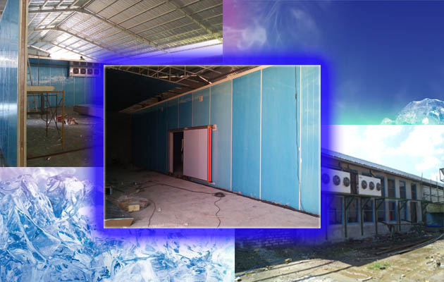 gallery 3